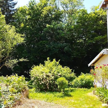 Les Glycines, un air de campagne à la ville Besançon Extérieur photo